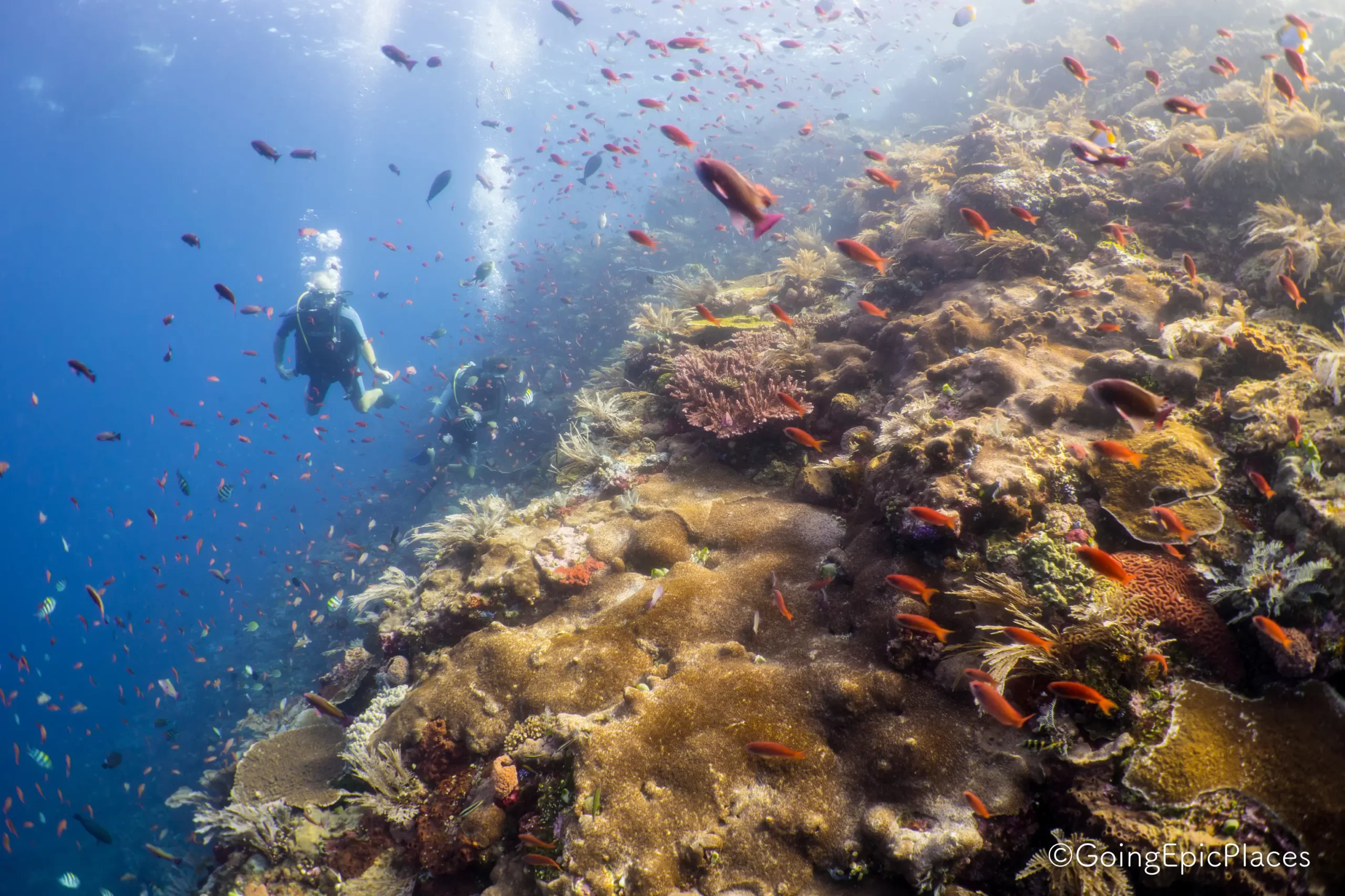 crociera indonesia Kri Area