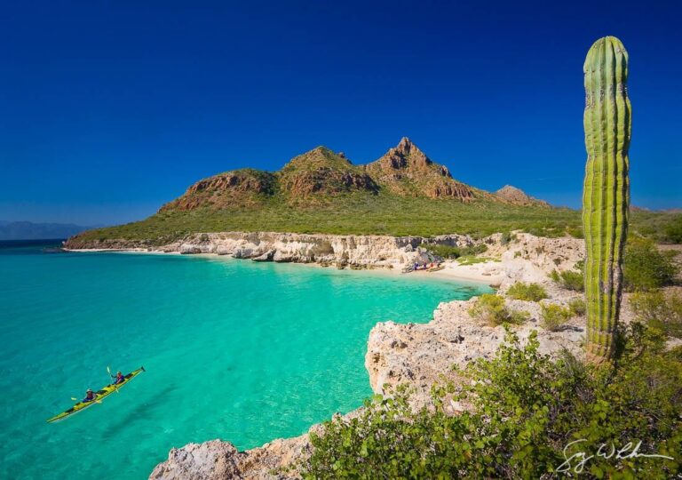 crociera sub bassa california