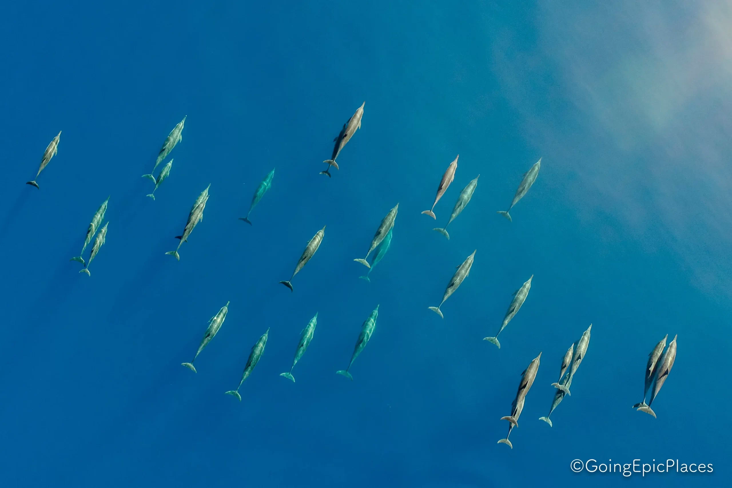 crociera Komodo & North Flores batù moncho