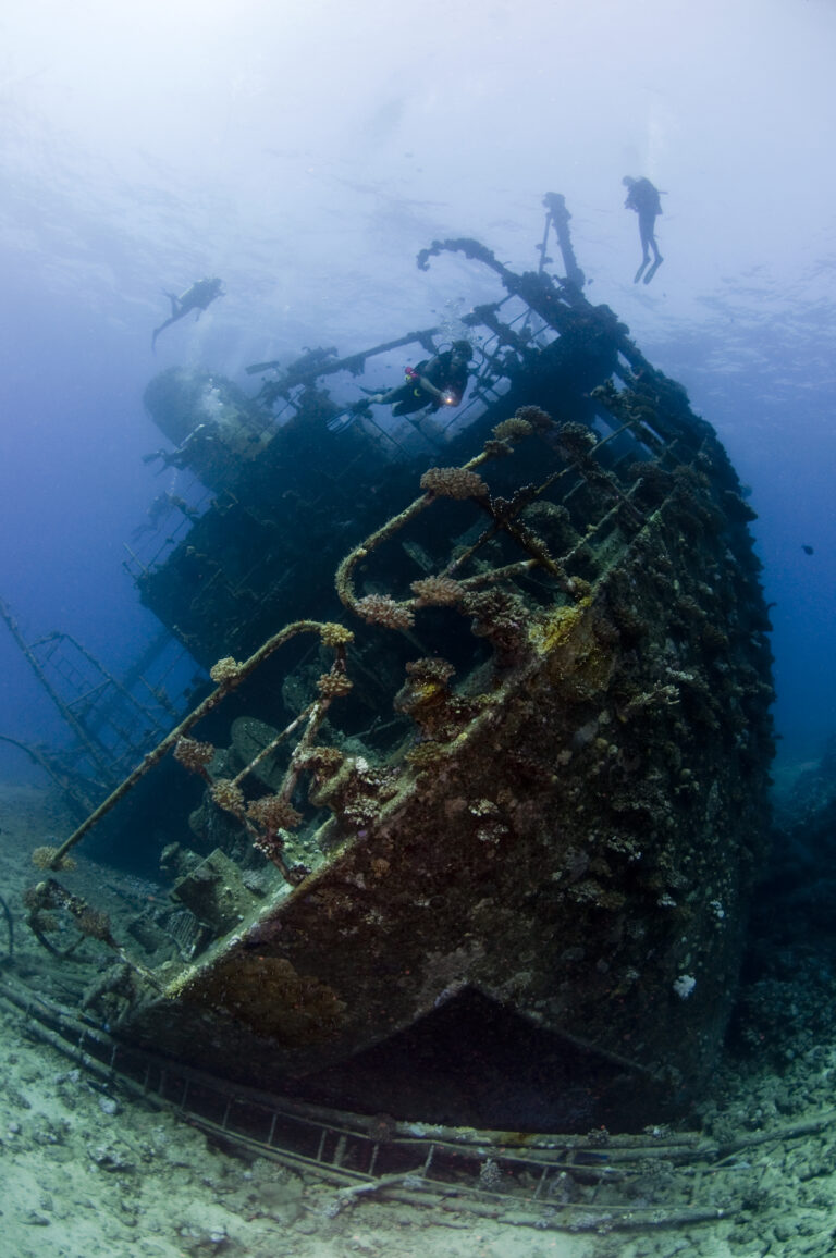 relitto Sub Safaga, Brothers & Elphinstone