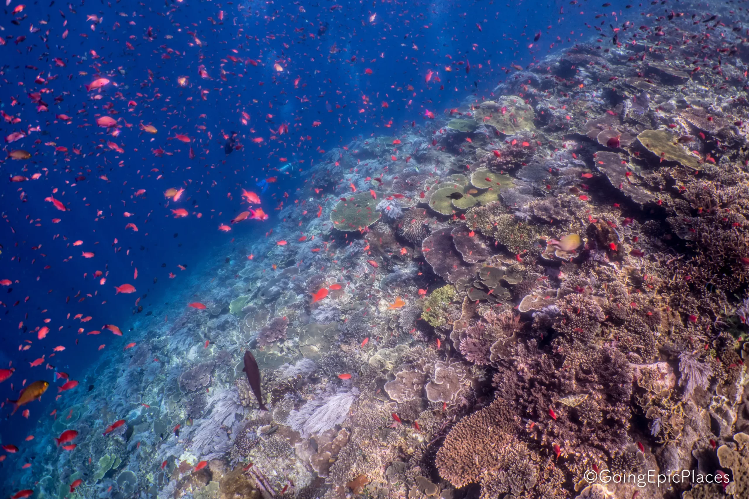 Gili Banta crociera sub Indonesia