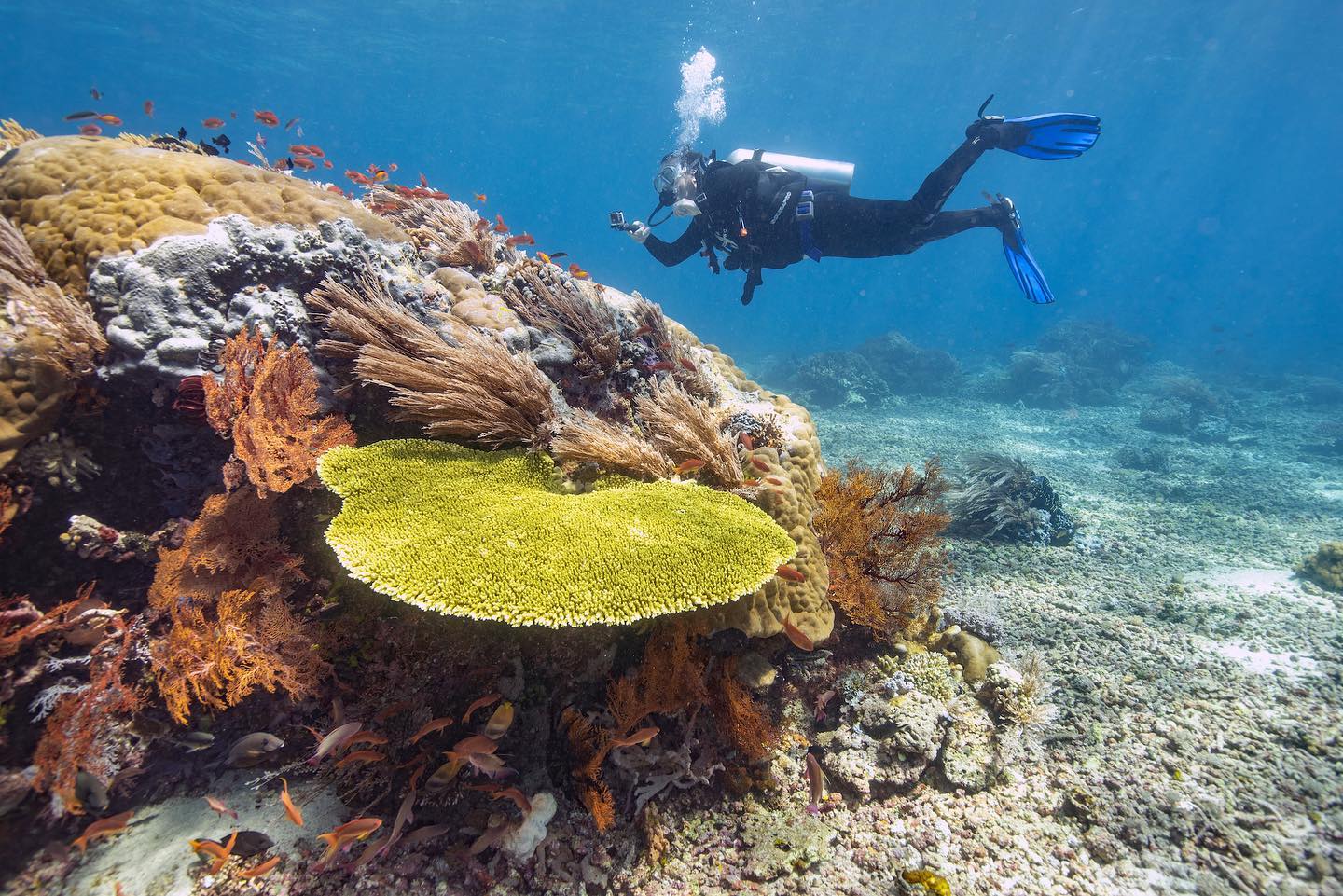 tatawa crociera indonesia