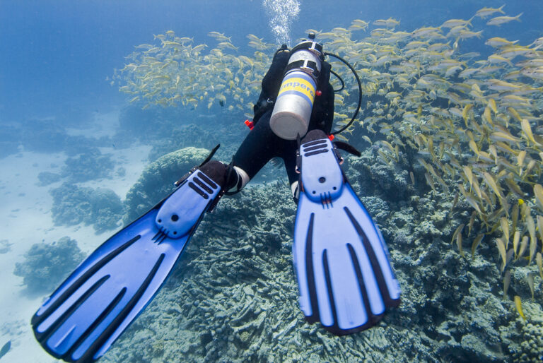 sub simply the best crociera mar rosso