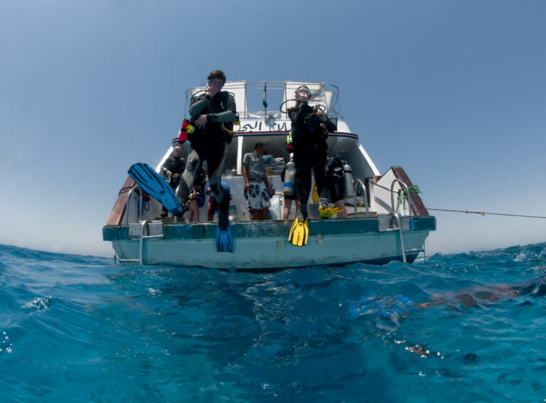 simply the best crociera mar rosso immersioni